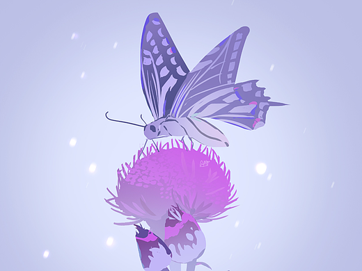 【色彩速涂】动物概括练习