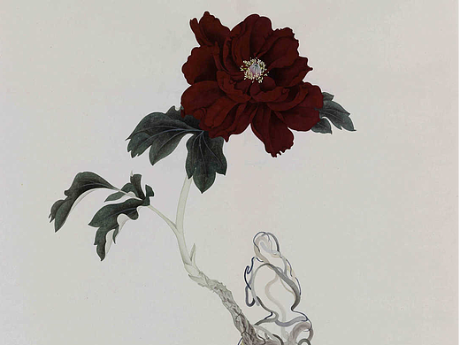 美学,我离你的世界只差半步