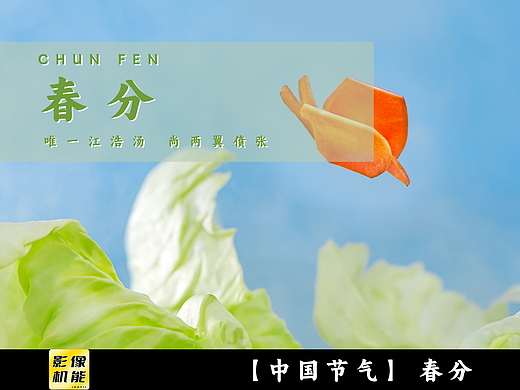【中国节气】春分