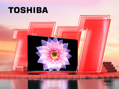 东芝电视23年双11项目复盘方案分享