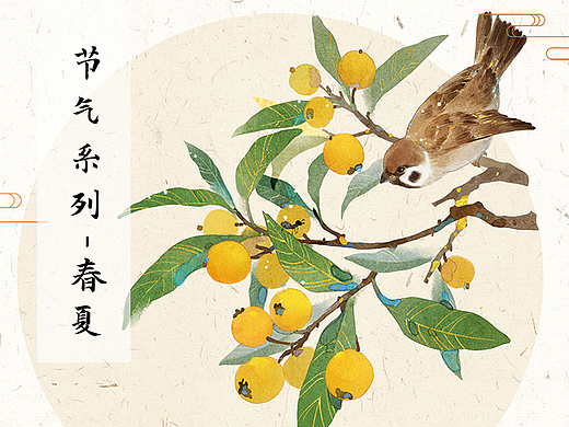 收获的节气系列——春夏