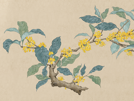 工笔画-桂花花枝图