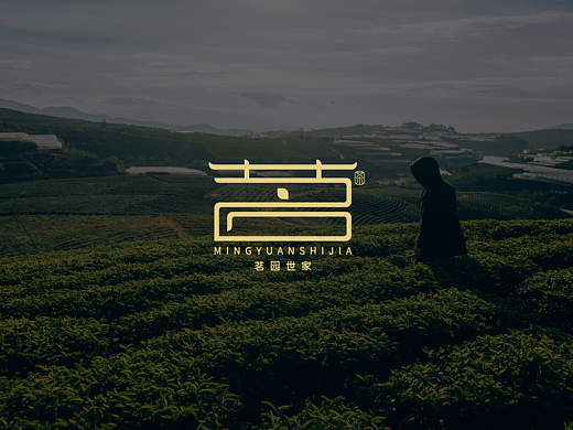 茗园世家：武夷岩茶品牌设计