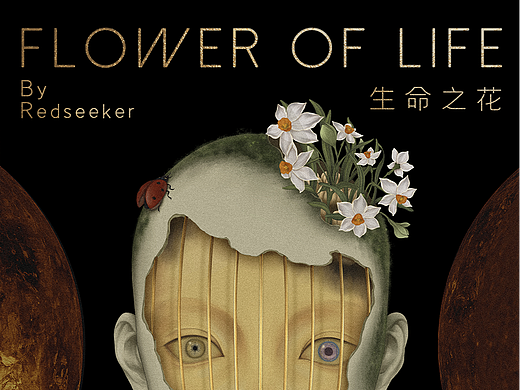 Flower Of Life \ 生命之花 · 系列一