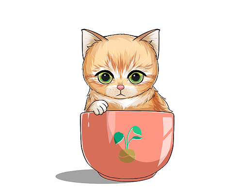 茶杯猫201