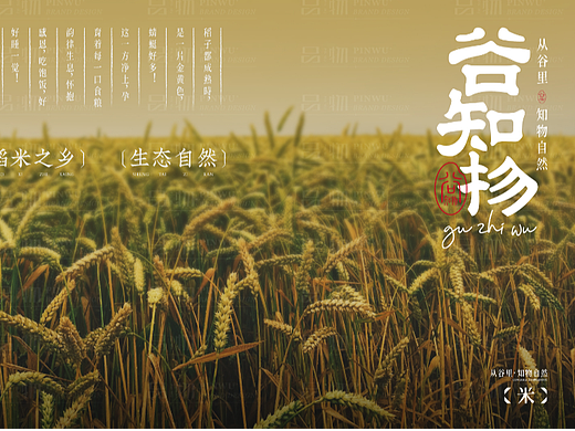 谷知物 | 从谷里，之物自然。原创大米品牌设计