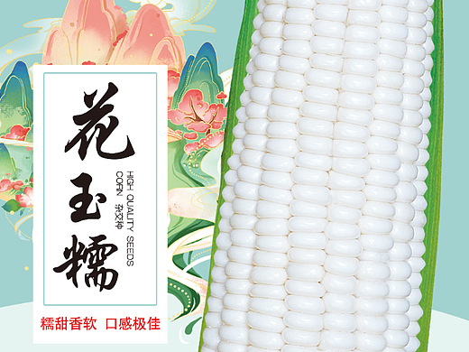 種子包裝設(shè)計(jì)（個(gè)人主頁-ZNjQ2MTE0ODQ=） - 包裝 - 站酷設(shè)計(jì)師別碰我的小喵原創(chuàng)素材 - 站酷ZCOOL