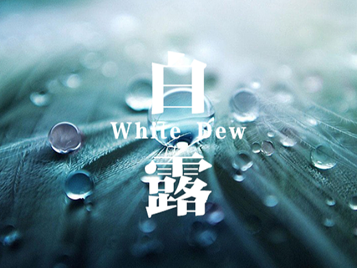 #WOW+白露（個人主頁-ZNjE4MDUzNTI=） - 海報 - 站酷設(shè)計師瓊卉原創(chuàng)素材 - 站酷ZCOOL