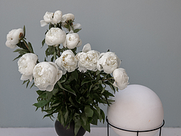 公眾號(hào)排版練習(xí)