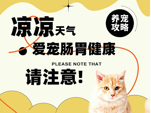 狗粮/狗粮-推文