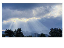 手机摄影丨夏天的模样