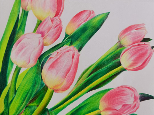 手绘打卡练习28