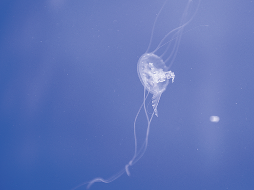 2021-2022攝影集合 COSA VIVENTE（有生命的事與物）（個人主頁-ZNjMxMzM1NjQ=） - 人文/紀實攝影 - 站酷設計師歐陽雨晴yuqing原創(chuàng)素材 - 站酷ZCOOL