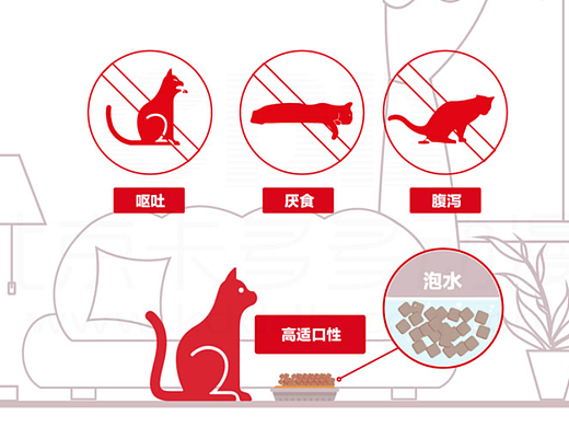 MG动画MG动画MG动画MG动画