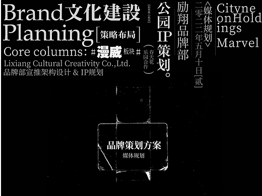 品牌美誉度策划/文化建设/ip （含漫威部分）