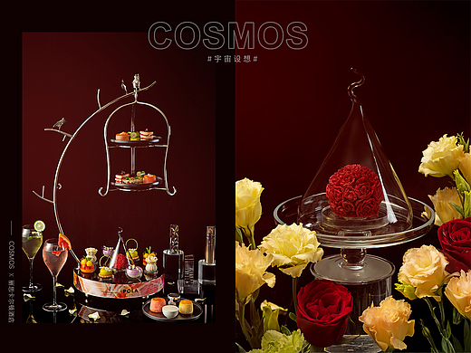 丽思卡尔顿酒店 × 宇宙设想 COSMOS