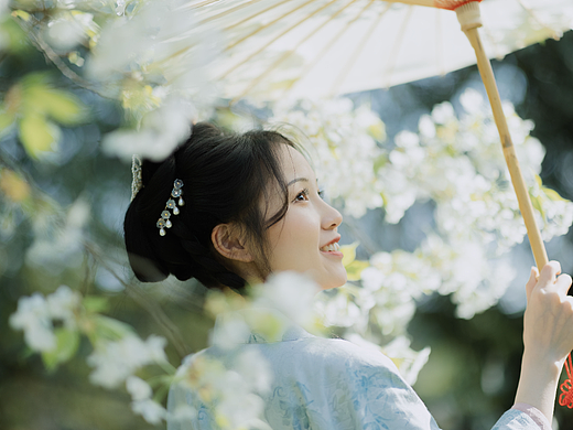樱花树上的少女