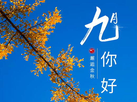 九月你好节气海报企业借势营销节日简约商务海报清新