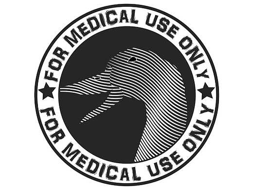 第十六天