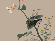 中国风传统纹样描摹