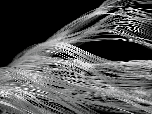 HOUDINI R&D