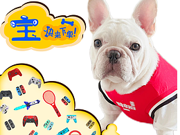 微信營(yíng)銷 可愛(ài)寵物頭像 