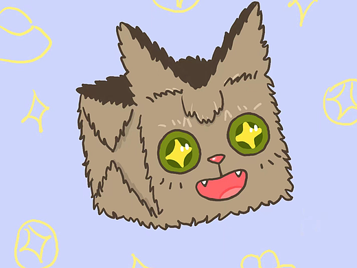 盒子猫