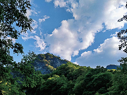 太平森林国家公园