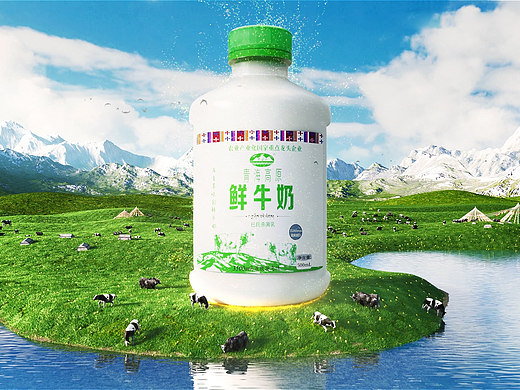 青海湖-高原鲜牛奶