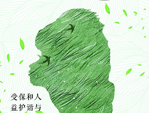爱护环境 人人有责