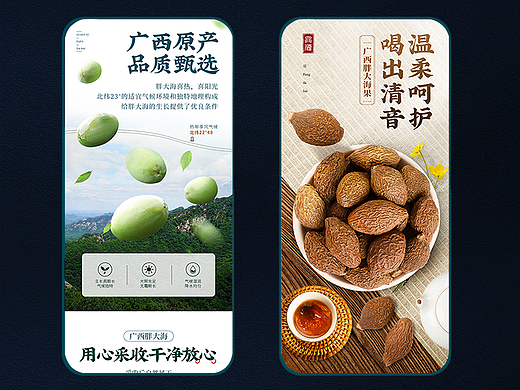胖大海详情页 滋补品 中药材 保健品