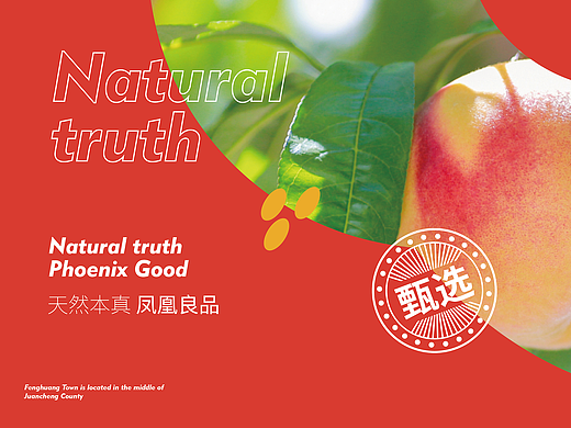 丰禾凰品-农业公用品牌形象设计