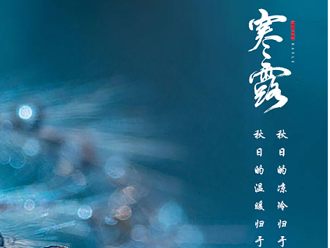 白酒节气海报--寒露