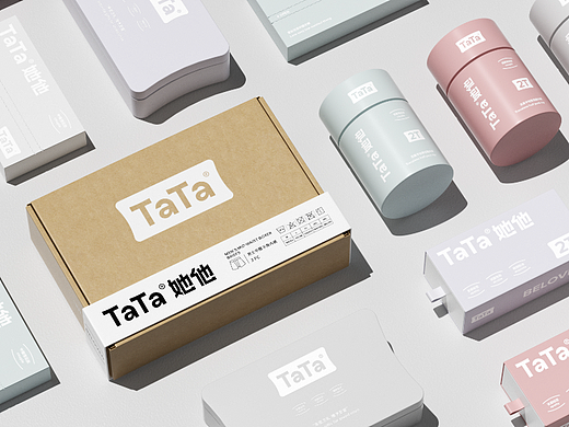 她他内衣品牌全案升级