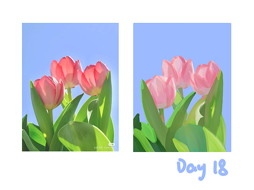 色彩派对DAY18