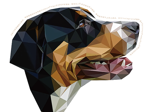 國(guó)際小狗日（個(gè)人主頁(yè)-ZNjU0MTAzNDA=） - 海報(bào) - 站酷設(shè)計(jì)師橘子香味兒原創(chuàng)素材 - 站酷ZCOOL