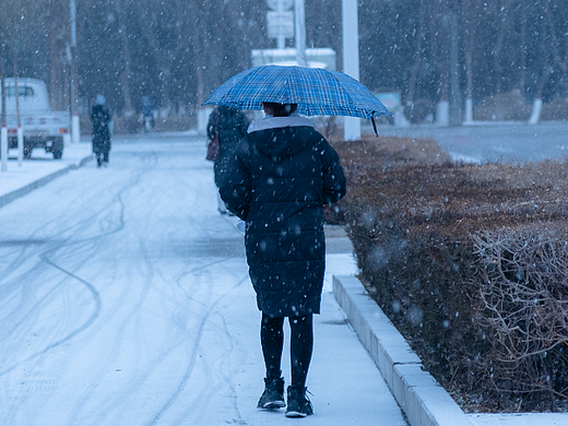下雪的日子，感受银川冬天的温暖与宁静