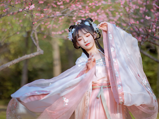 红梅春语