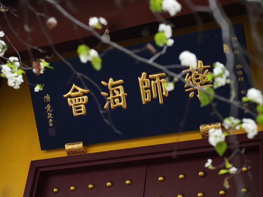 厦门石室禅院梨花开了