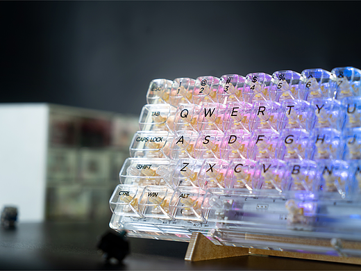 透明键盘