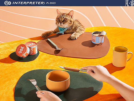 宠物用品摄影丨INTERPRETER芃睿 × 猫罐头