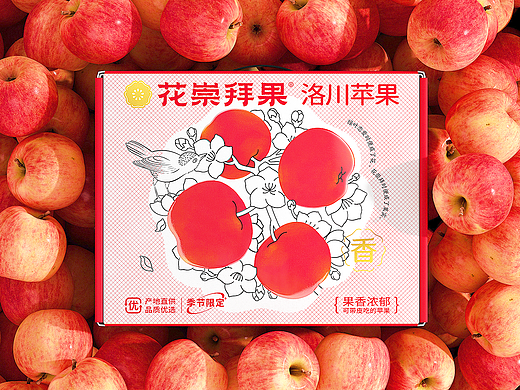 水果包装｜花崇拜果 x 正心创意 打造地标产品洛川苹果