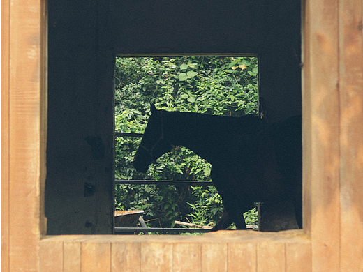 Summer Vibe（个人主页-ZNjU1ODAzOTI=） - 人文/纪实摄影 - 站酷设计师木里MULI原创素材 - 站酷ZCOOL
