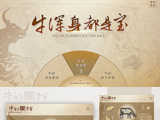 触摸查询/互动投影多媒体展项界面展示