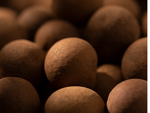 桂圓（個人主頁-ZNjQ3ODU1MDA=） - 產(chǎn)品攝影 - 站酷設計師下集原創(chuàng)素材 - 站酷ZCOOL