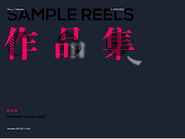 平面設(shè)計(jì)作品集