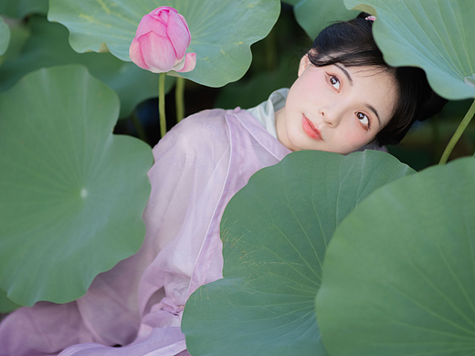 夏日荷香