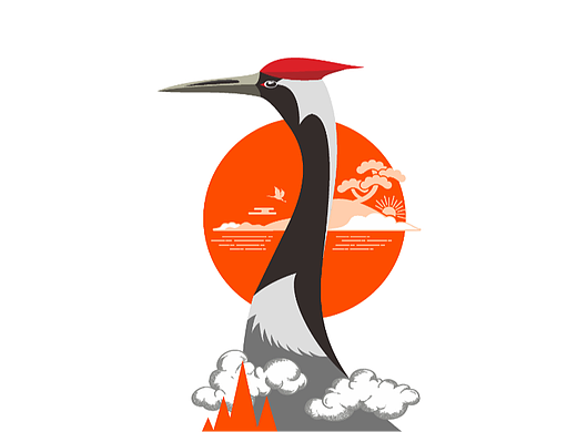世外乡村有机杂粮