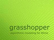 grasshopper
