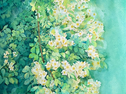水彩花卉
